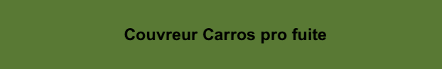 Logo Couvreur Carros Pro Fuite